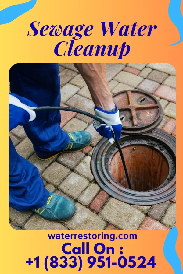 Sewage Water Cleanup in Comstock, NE