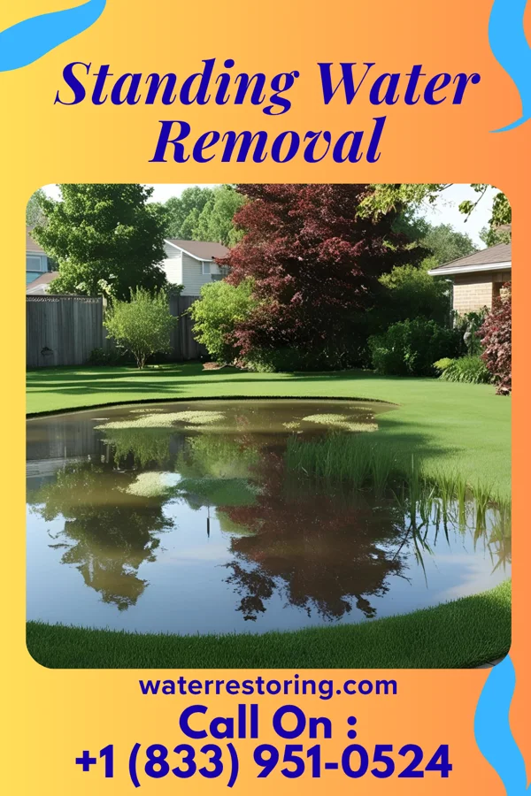 Standing Water Removal in Comstock, NE